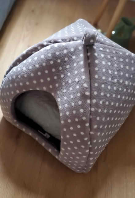 Photo of free Cat igloo bed (Kentish Town West NW5) #1