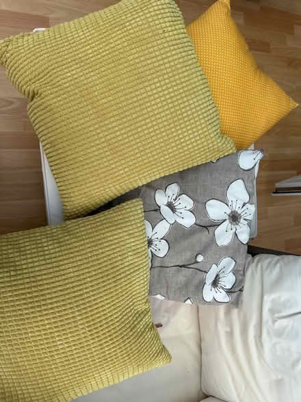 Photo of free 4 cushions (Blaby LE8) #1