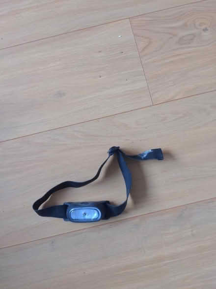 Photo of free Head torch (Stannington S6) #1