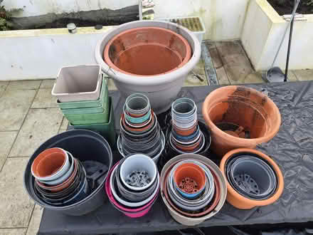 Photo of free Plastic plant pots (Crumlin) #2