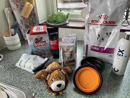 Photo of free Dog food and accessories (Maldon CM9) #1