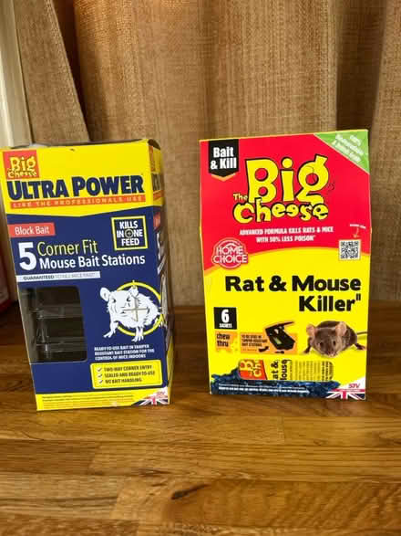 Photo of free Pest control (CT7) #1