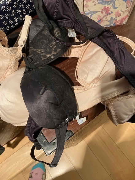 Photo of free Very small bras good condition (Foothill Boulevard Cupertino) #1