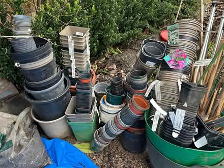 Photo of free Pots for growing plants (Tooting Bec/Balham SW17) #1