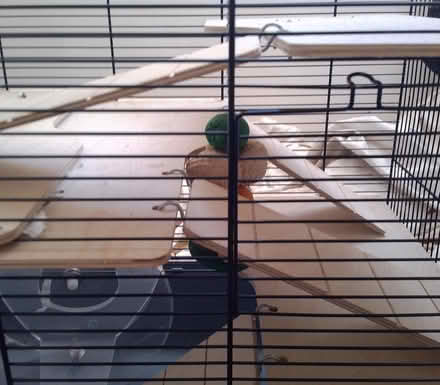 Photo of free Hamster Cage - Large (CT2) #2