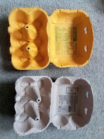 Photo of free Empty egg boxes (hold 6 eggs each) (Godalming GU7) #1