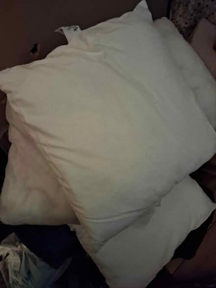 Photo of free Cushion inserts (Birkenhead CH41) #1