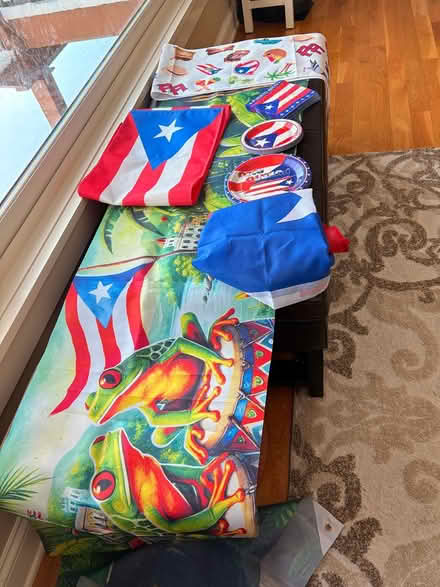 Photo of free Puerto Rico Party supplies (Eagan- by LexingtonDiffley) #1