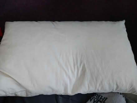 Photo of free Goose Feather Pillow (Collyhurst M40) #1