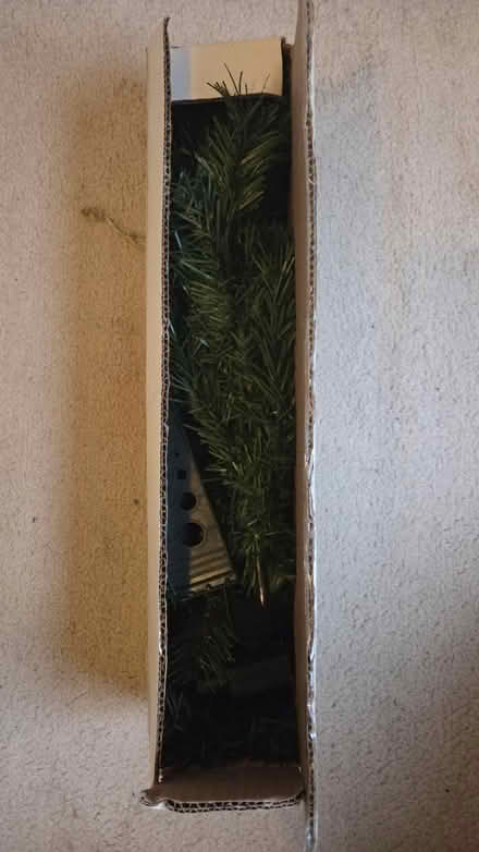 Photo of free Christmas Tree (Hillsborough S6) #2