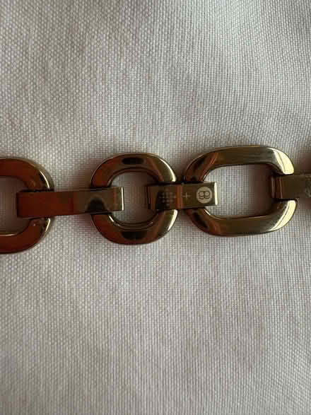 Photo of free Gold Fitbit strap (Southport PR9) #2