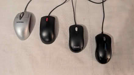 Photo of free 4 corded usb mice (WR2 St Johns, Worcester) #1