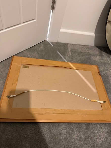 Photo of free Cricket print (CO4 Colchester) #3