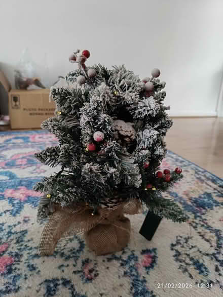 Photo of free Small decorative Christmas tree (NW7 (Mill Hill)) #1