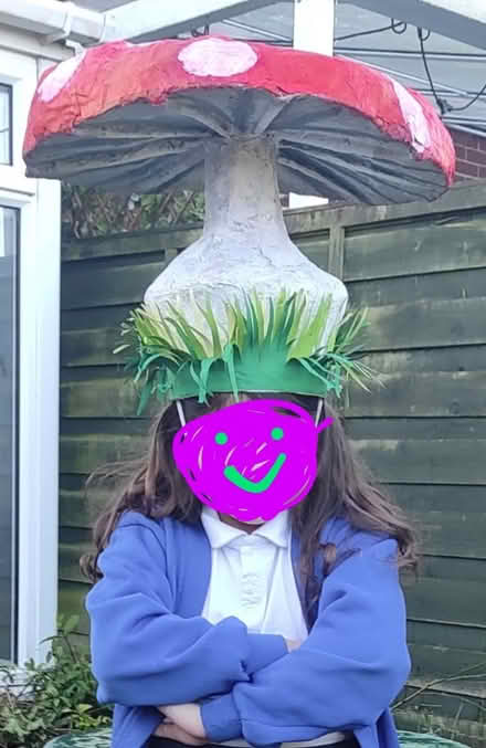Photo of free Mushroom headpiece for children (7-9 y.o.) (Priestwood RG42) #1