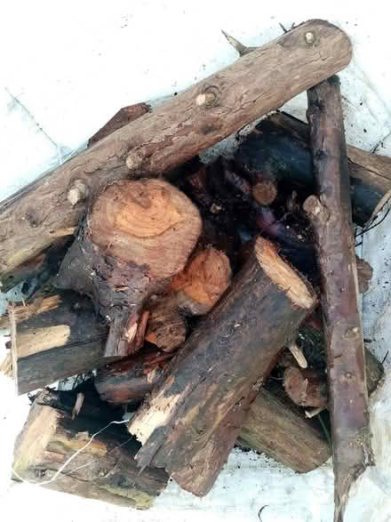 Photo of free Logs (WA5) #1