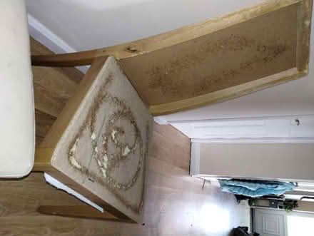 Photo of free M&S dining chairs take 1 or both (Irby CH61) #3