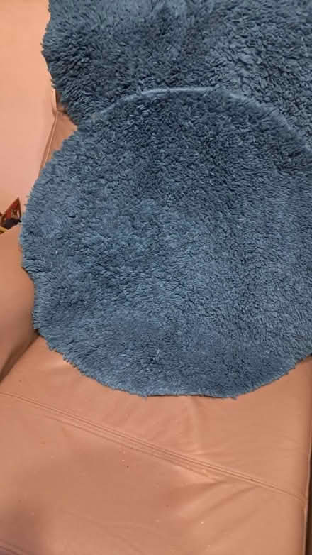 Photo of free 2 circular bath mats (EX2) #1