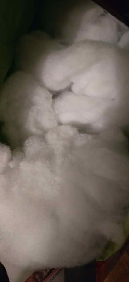 Photo of free Toy Stuffing (Shenley Church End MK5) #1