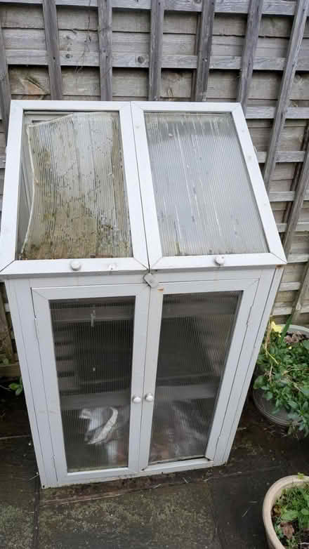 Photo of free Seedling Germination thing (Shrewsbury, Castlefields) #1