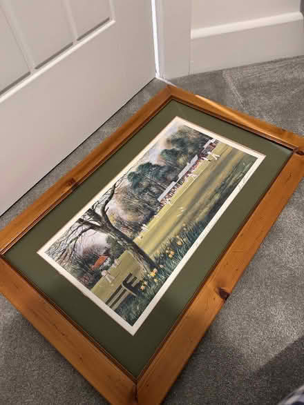 Photo of free Cricket print (CO4 Colchester) #1