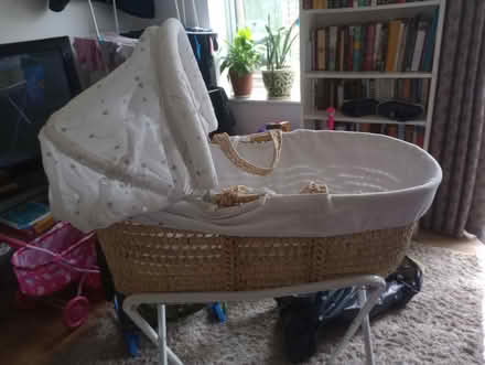 Photo of free New moses basket (Abingdon Oxfordshire OX14) #1