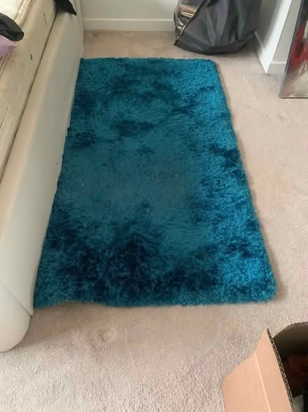 Photo of free Teal green rug (Balerno EH14) #1