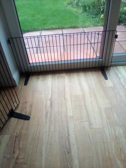 Photo of free pet guards (North Worle BS22) #1