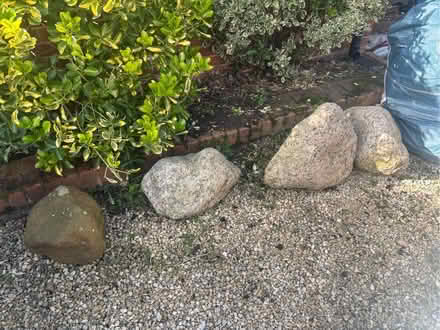 Photo of free Decorative garden rocks heavy (Brampton S40) #3