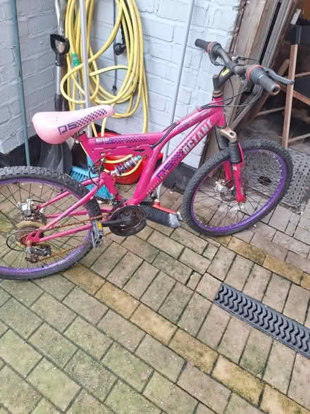 Photo of free Girl's teen woman s pink bike (S21) #1
