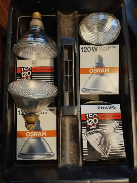 Photo of free 120W E27 flood light bulbs (St Andrews BS7) #1
