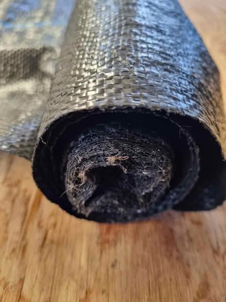 Photo of free weed control fabric (CM2 springfield, chelmsford) #2