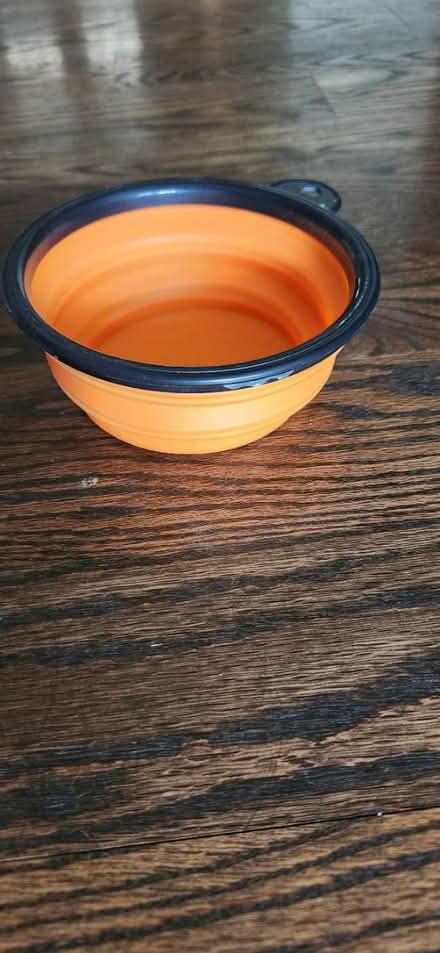 Photo of free Small collapsible pet water bowl (St. Charles) #2