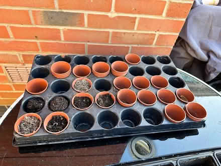 Photo of free Plastic plant pots and tomato food (Blaby LE8) #2