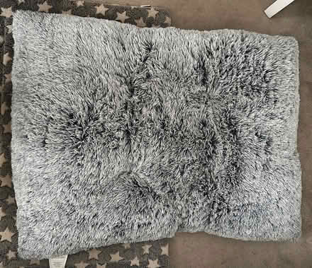 Photo of free Dog Bed (Merton SW19) #1