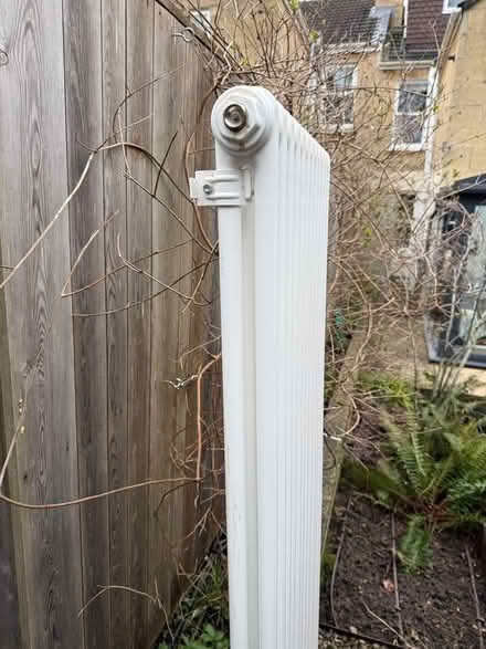 Photo of free Central heating column and panel radiators (Twerton) #3