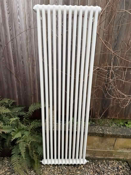 Photo of free Central heating column and panel radiators (Twerton) #2