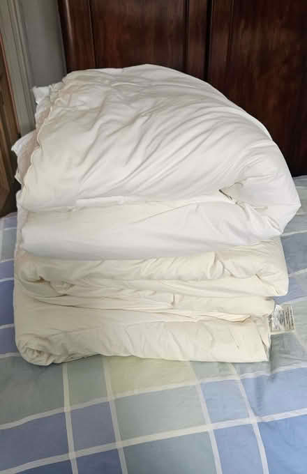 Photo of free Single duvets x 3 (Comiston EH10) #1