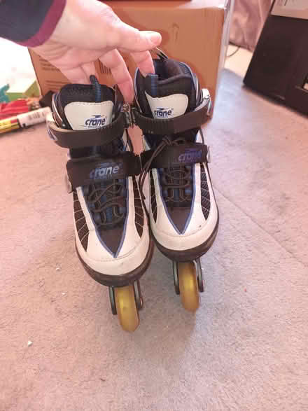 Photo of free Inline Roller Blades Size 2-4 (Bruntsfield EH10) #2
