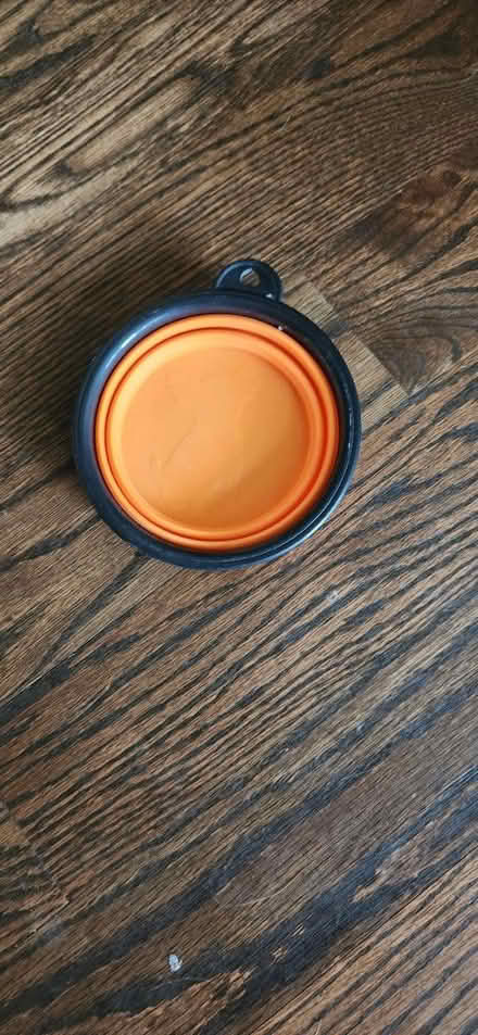 Photo of free Small collapsible pet water bowl (St. Charles) #1