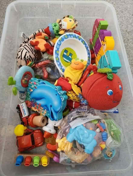 Photo of free Young children toys (Buggs Bottom RG4) #3