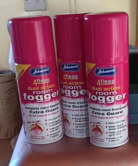 Photo of free flea killer (Allington NG32) #1