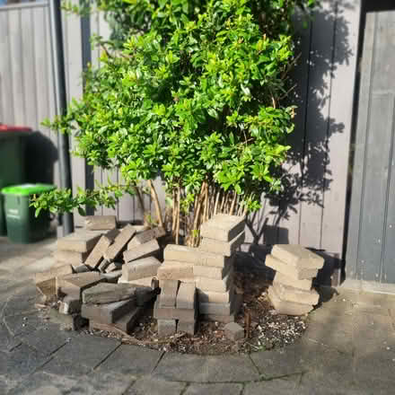 Photo of free Pavers - Concrete (North Shore - Auckland) #1