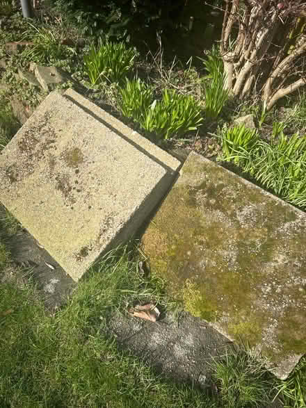 Photo of free Garden slabs - S6 (Wisewood S6) #1