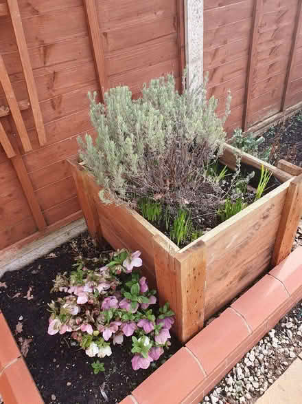 Photo of free Sturdy Wooden Planter 60 x 70 x 45cm (Lyppard Grange WR4) #3