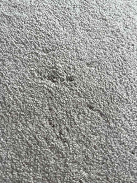 Photo of free Carpet (Southport PR8) #4
