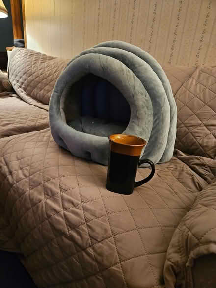 Photo of free New, Unused Pet Bed (Hanson, MA) #1