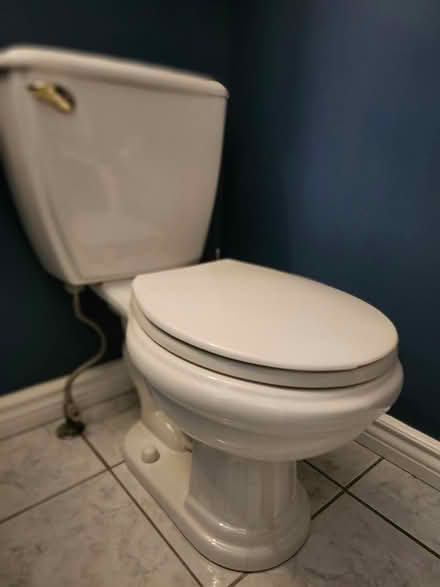 Photo of free Matching Sink and Toilet (Orleans) #3