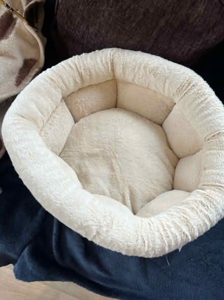 Photo of free Blue circle catbed (HP3 Bennett’s end) #1