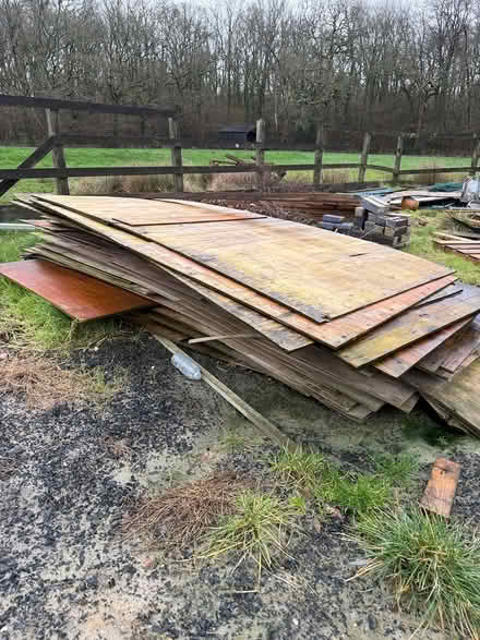 Photo of free Plywood (Colden common SO21) #1